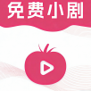 晴天火龙果TV永久免费版